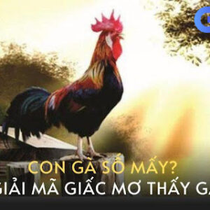 Con gà số mấy