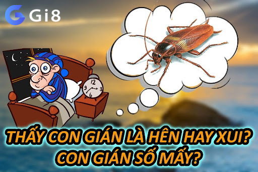 Thấy Con Gián Là Hên Hay Xui? Con Gián Số Mấy