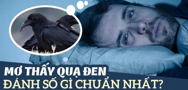 Nằm mơ thấy quạ đen thì đánh con số mấy cho hiệu quả nhất