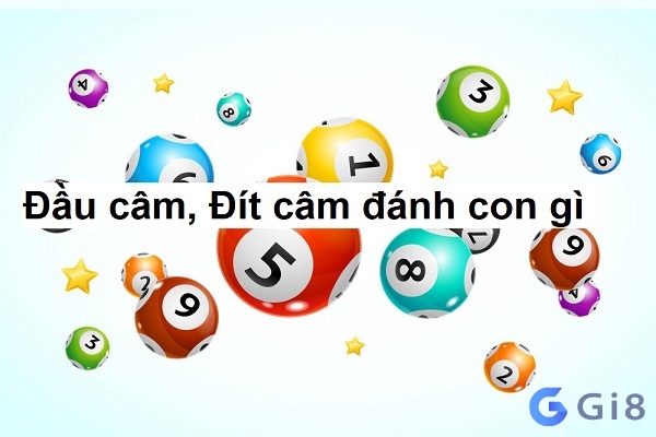 Một số kinh nghiệm bắt số khi đầu cầm đít câm khác