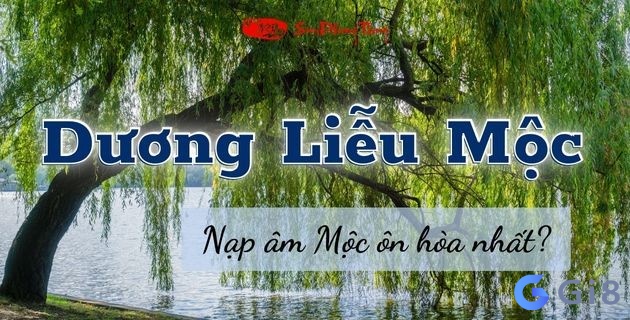 Người có mệnh Dương Liễu Mộc hợp màu gì và mệnh nào?