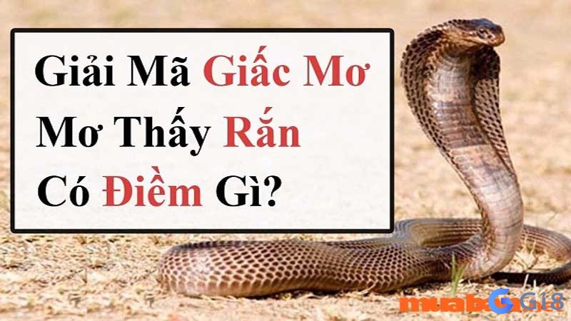 Mơ gặp rắn đánh đề con gì