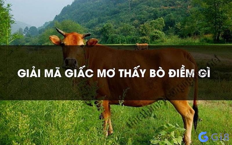 Nằm mơ thấy con bò đánh con gì? Gi8 giải mã các con số đề