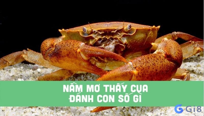 nằm mơ thấy cua đánh con gì