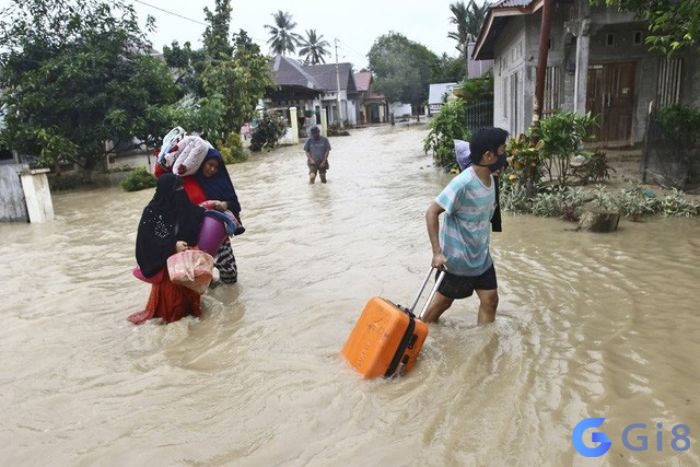 Điềm báo tốt khi chiêm bao thấy nước lũ