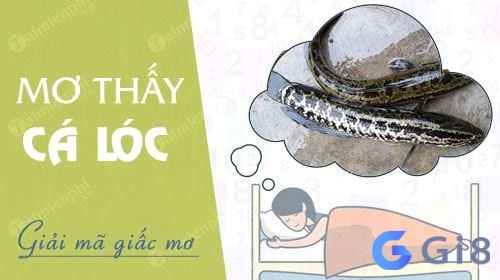 Điềm báo tốt khi chiêm bao thấy cá lóc