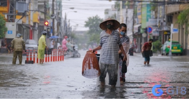 Mơ thấy nước ngập đường nhiều cá báo hiệu kinh doanh nhiều tài lộc