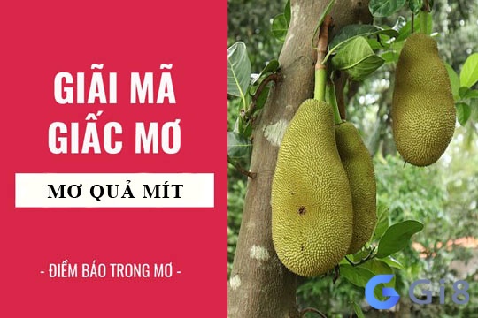 Nằm mơ thấy mít chín nên đánh con số gì?