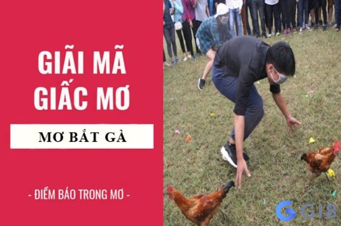 Mơ bắt được gà đánh con gì? - Mơ thấy bắt được gà có ý nghĩa gì?