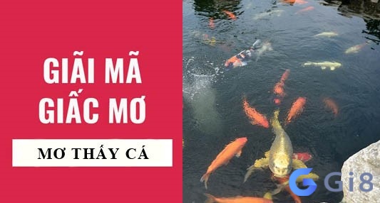 Mỗi giấc mơ về cá khác nhau sẽ mang đến một dự báo rất riêng